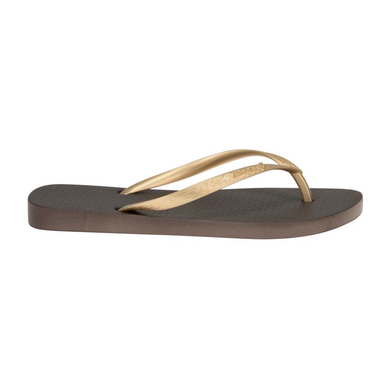 Sandalias-Ipanema-Mujeres-Ip-B26--Marron---33_0