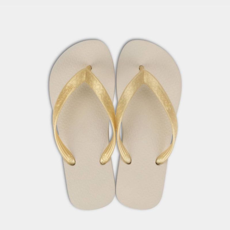Sandalias-Playeras-Ipanema-Mujeres-2Ipb9000230-BEIGE/ORO-33-1